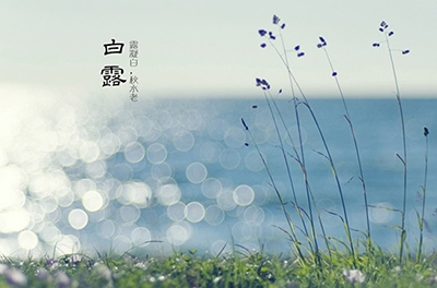 白露降，秋意濃
