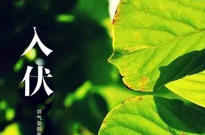 入伏在即，酷暑將至
