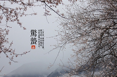 春雷起，驚蟄出